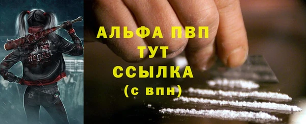 гашик Семилуки