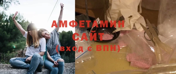прущие грибы Абинск