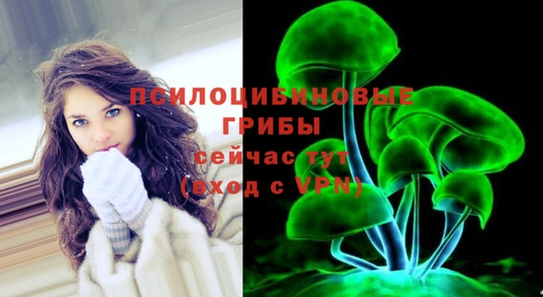 МДПВ Семёнов