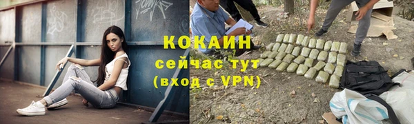 прущие грибы Абинск