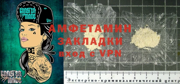 прущие грибы Абинск