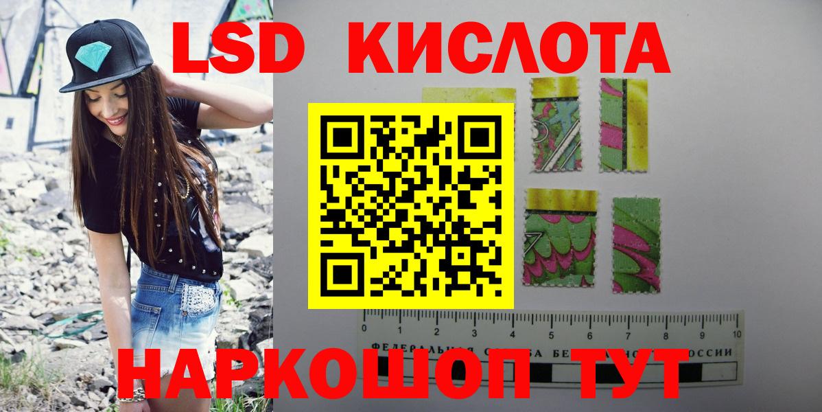 APVP Богородицк