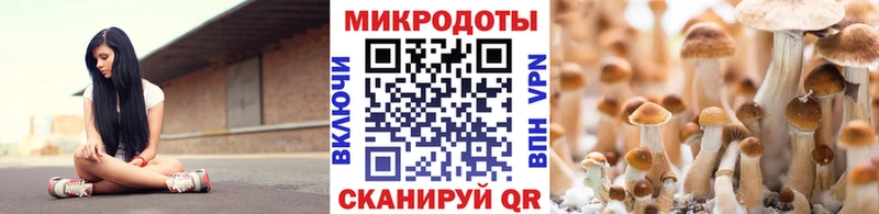 Псилоцибиновые грибы прущие грибы  купить закладку  Богородицк 