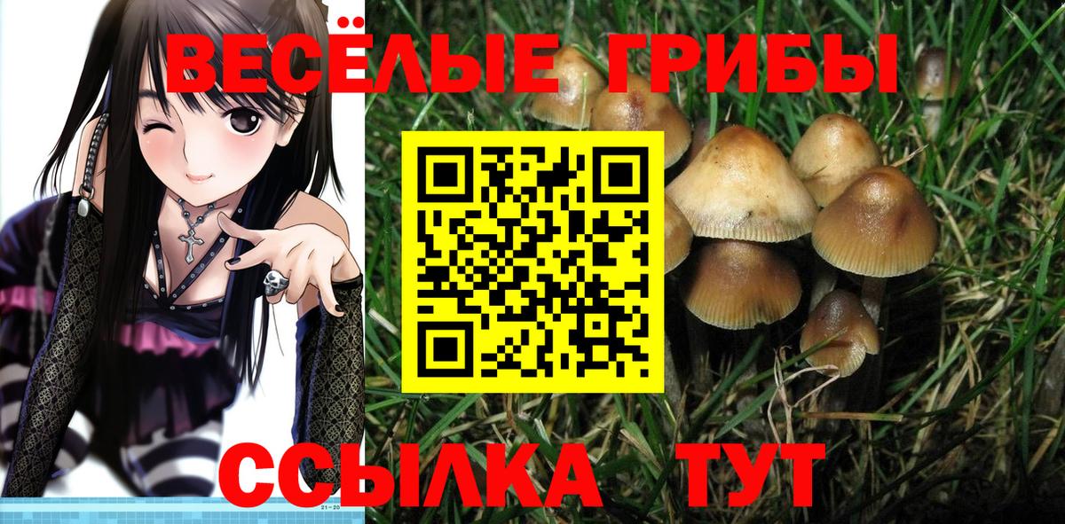 Псилоцибиновые грибы мицелий  Галлюциногенные грибы Cubensis  Богородицк  Вход с VPN 